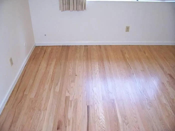 2506 Denison Dr — Photo 7