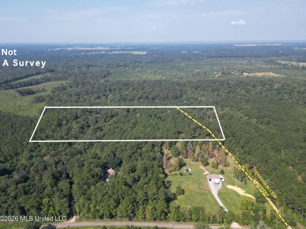 Homer Ladner Rd, Poplarville, MS 39470