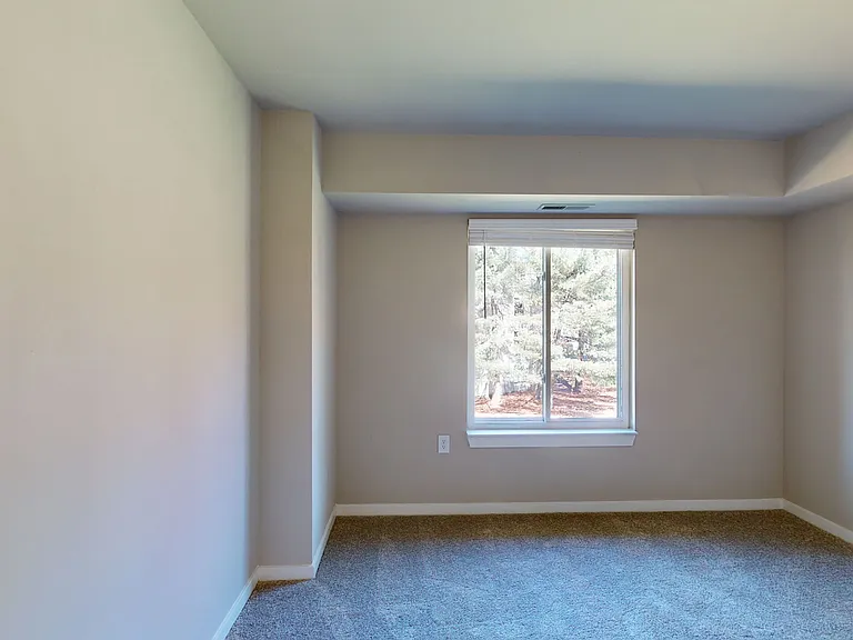 Seneca Place — Photo 54