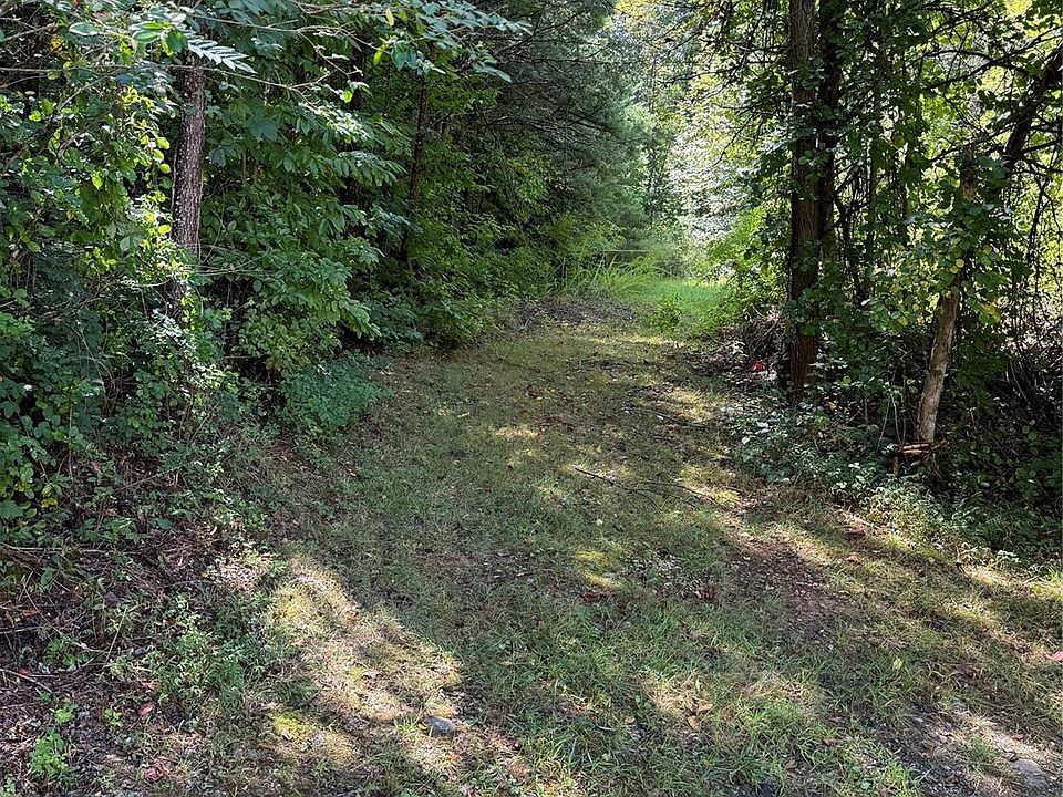 2nd image of 0 Birch Ln