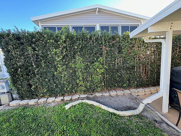 Privacy bushes in back