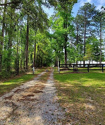 View from County Rd 12 South