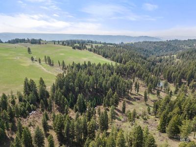 Rieman Rd, Cottonwood, ID, 83522