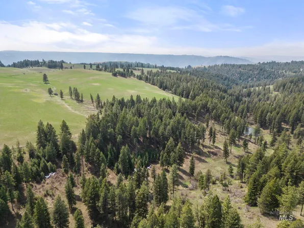 Rieman Rd, Cottonwood, ID 83522