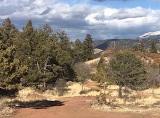 320 Pine Rd, Florissant, CO 80816