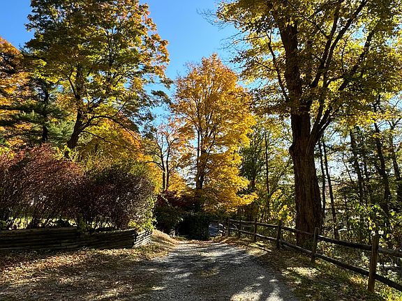 parking and driveway