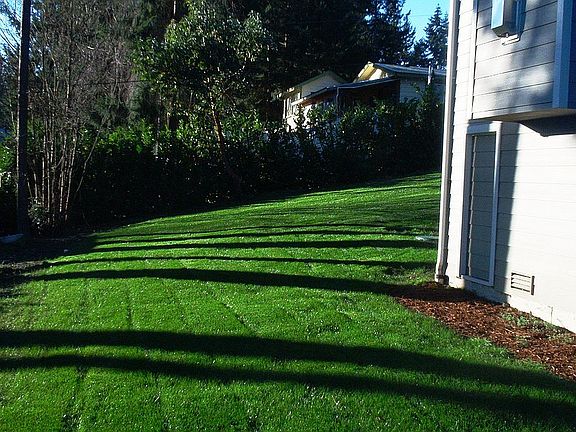 Side Yard
