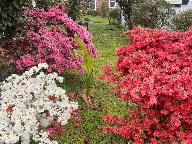 Inlet Point Rd — Photo 15