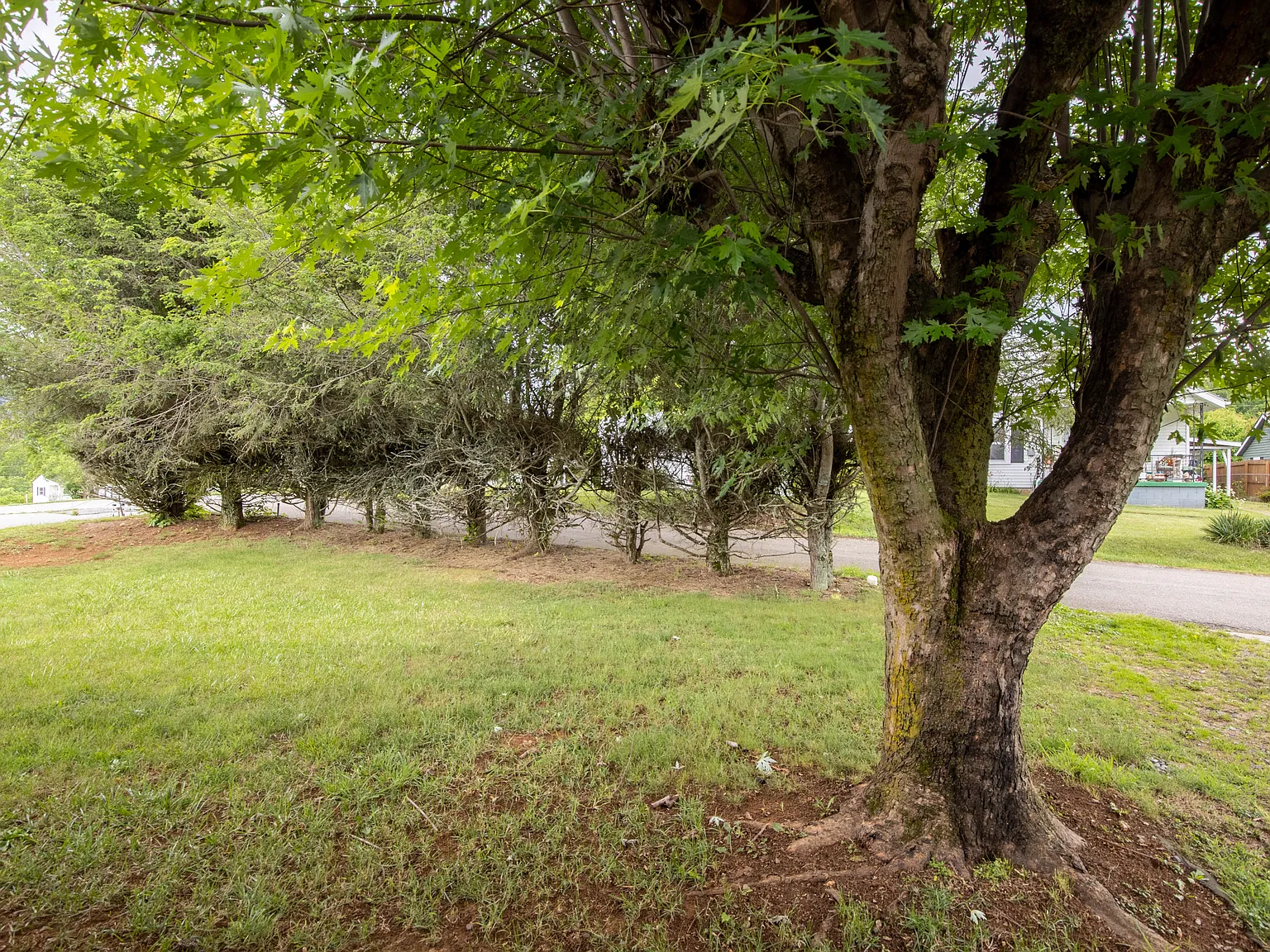 2 bed, 1208 sqft, $1,800 — Photo 3