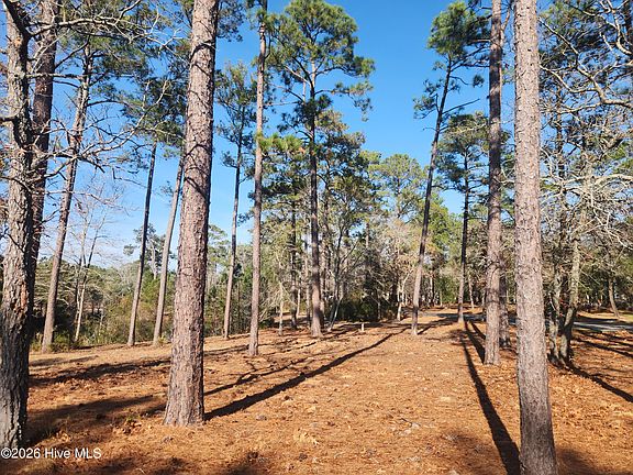 5th image of 904 Snow Goose Drive