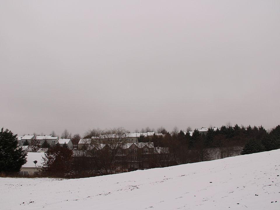 2nd image of 1820 Cub Circle