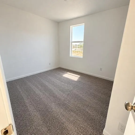 3303 Hilts Trl — Photo 4