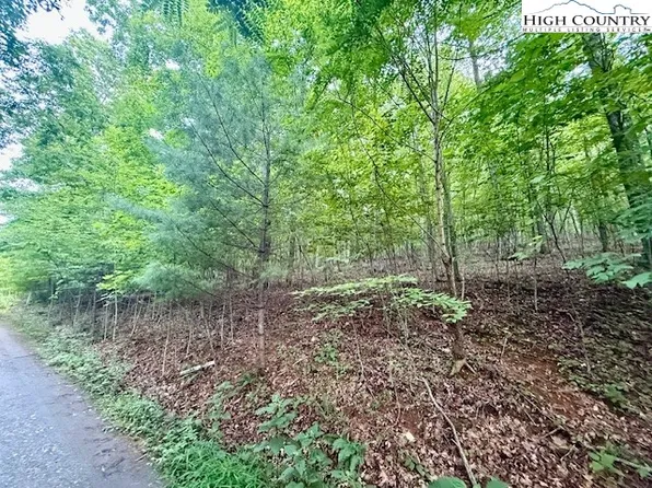 Lot 29 Winter Street, Jefferson, NC 28640