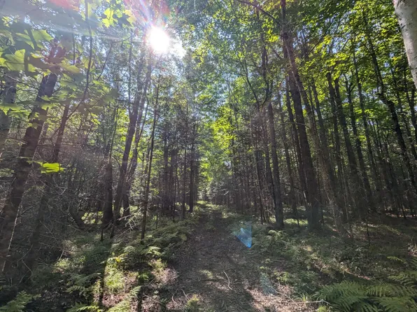 On Lake Rd, Phillips, WI 54555