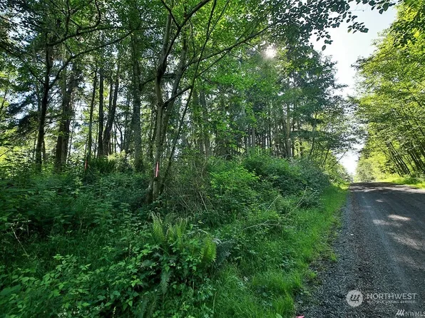 0 Lot 4 Thompson Road, Langley, WA 98260