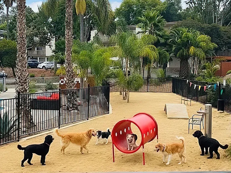 Serra 9Hundred — Photo 41