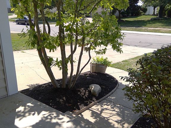 3rd image of 6518 Burkwood Dr