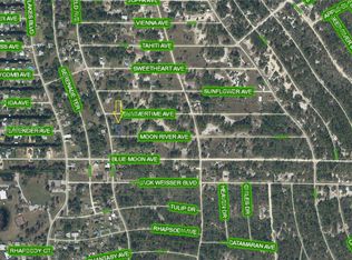 236 Moon River Ave, Lake Placid, FL 33852