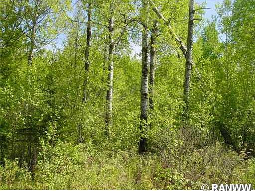 2nd image of N1190 Johnson Road