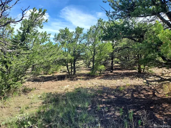 103 Mountain Spring Lane, Mosca, CO 81146