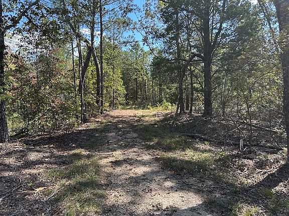 4th image of Firetower Rd