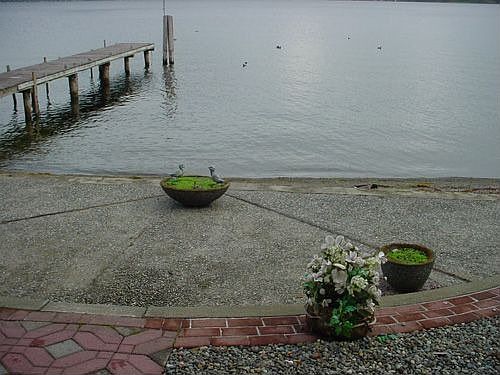 60 ft Lake washington waterfront