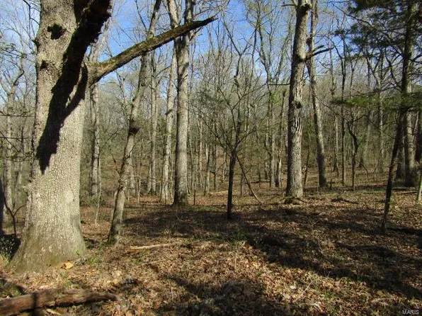 0 State Highway F, Hermann, MO 65041