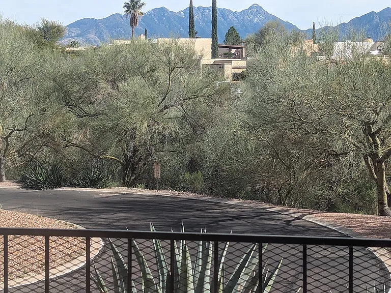 Santa Rita views and green space from patio