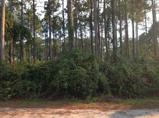 148 Skimmer Dr #0, Carrabelle, FL 32322