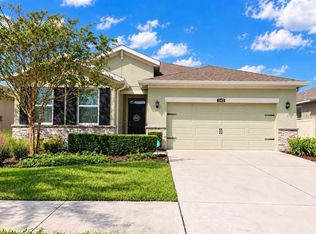 1143 PIPESTONE PLACE, WESLEY CHAPEL, FL 33543