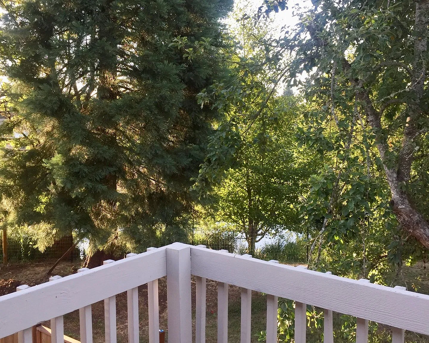 Newly remodeled Lebanon Apartment! — Photo 2