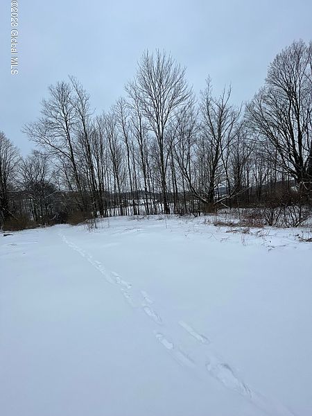 3rd image of L12.9 Mountainside Meadows Way