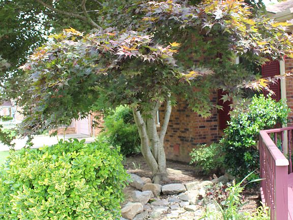 3rd image of 710 Cayce Dr