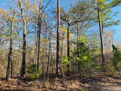 Unk Woodland Addition, Mena, AR, 71953