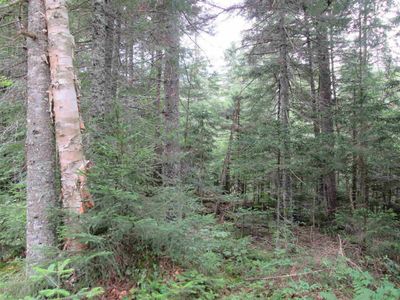 Off Route 30, Long Lake, NY, 12847