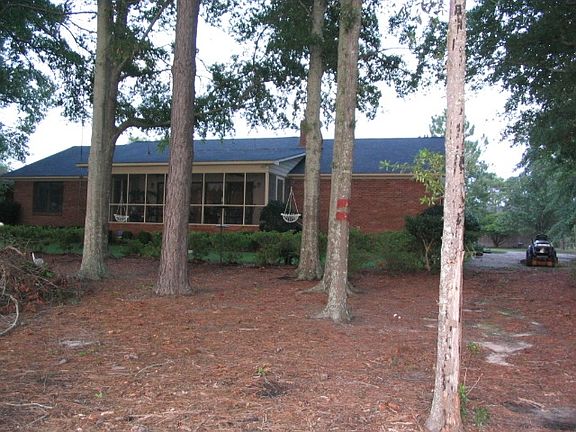 Back view from water. 