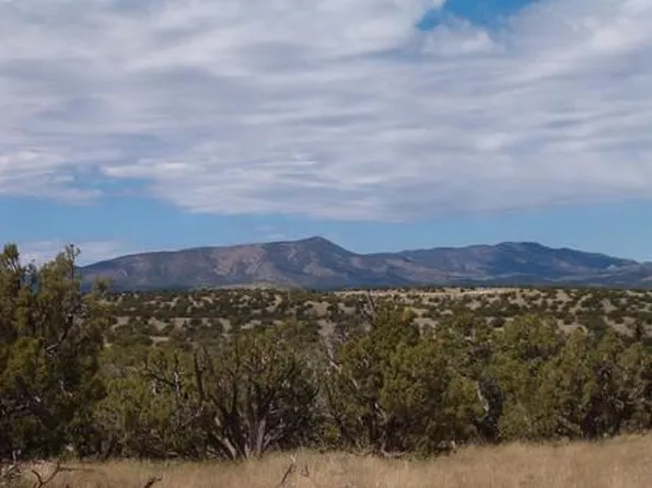 45 Abbe Spgs, Magdalena, NM 87825