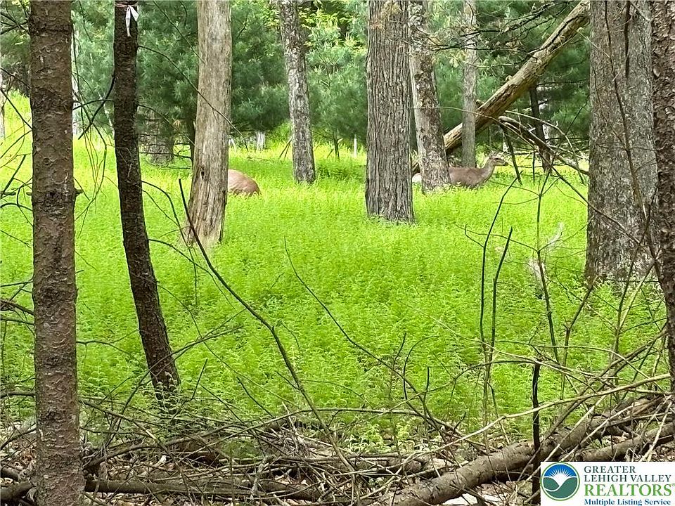 1st image of Male Rd