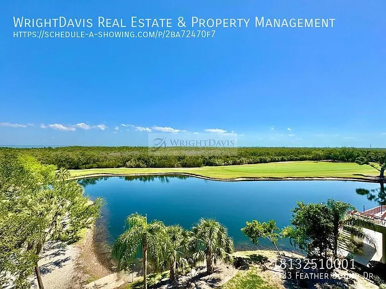 2333 Feather Sound Dr — Photo 28