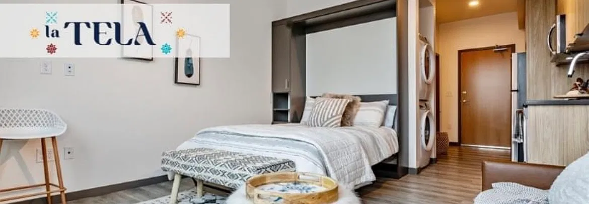Studio, 360 sqft, $1,550 — Photo 3