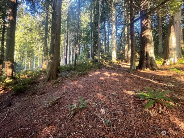10 Shooting Star Court, Bellingham, WA 98229