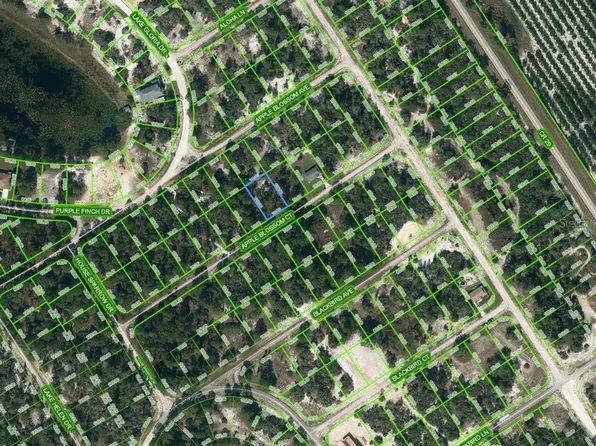 448 Apple Blossom Ct #19, Lake Placid, FL 33852