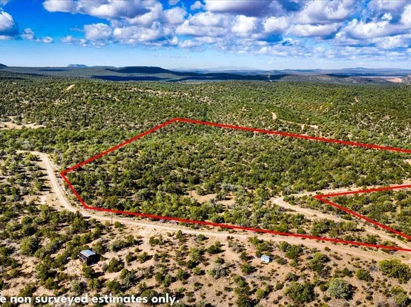 1399 N Thunder Ridge Ranch Rd, Seligman, AZ 86337