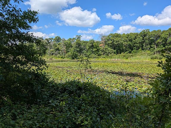 2nd image of 9 Fawn Lake Rd