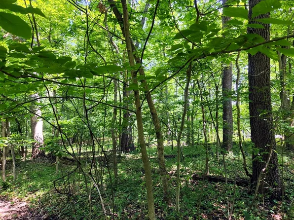 1658 Jasper Ct, Varna, IL 61375