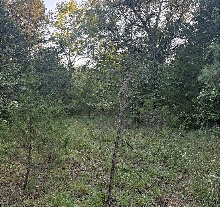 1st image of 10 Earl Ln