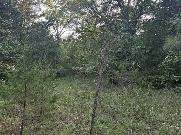 10 Earl Ln, Dover, AR 72837