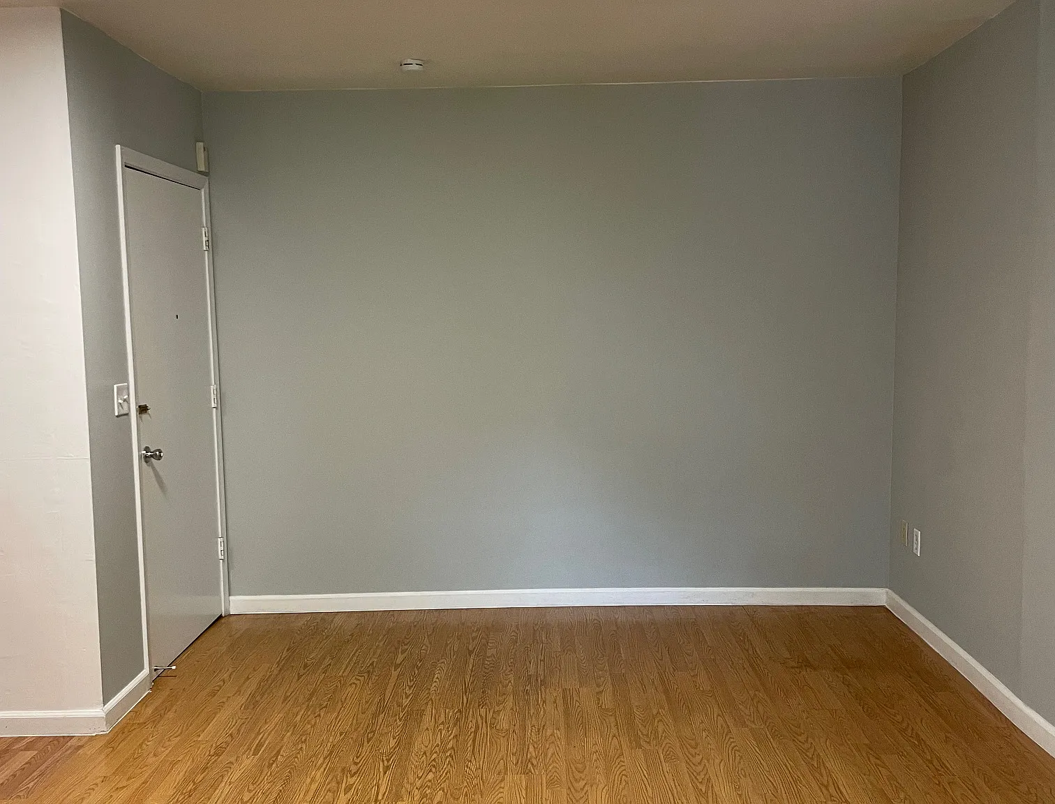 1 bed, 450 sqft, $1,500 — Photo 3