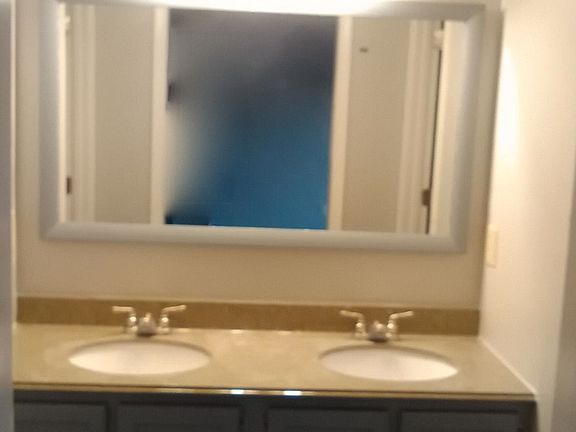 Master Vanity, double sinks