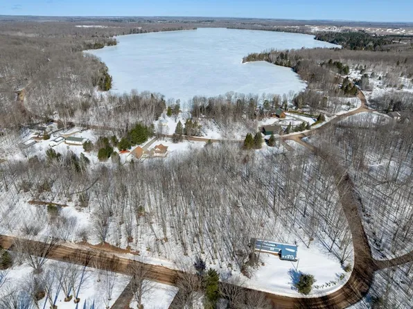 9831 W Munro Lake Dr, Levering, MI 49755